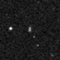 2023zm_image