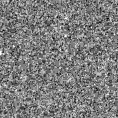 2023zmb_image