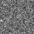 2023zoq_image