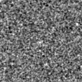 2023zqt_image
