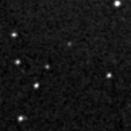 2023ztw_image