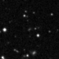 2023zub_image