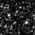 2023zw_image