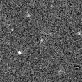 2023zwj_image