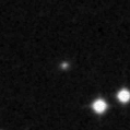 2023zwt_image