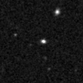 2023zxp_image