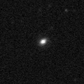 2023zyp_image