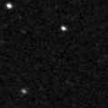 2023zyw_image