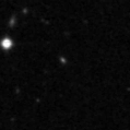 2024adap_image