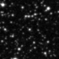 2024adcu_image