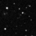 2024adel_image