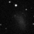 2024adfw_image