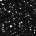 2024adiv_image