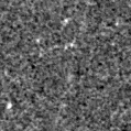 2024adjl_image