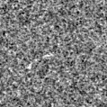 2024adkd_image