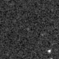 2024adkj_image
