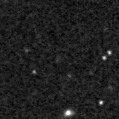 2024adlf_image