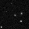 2024adlm_image