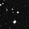 2024adnc_image