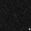 2024adqk_image