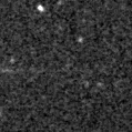 2024adry_image