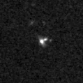 2024adsa_image