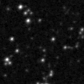 2024adzz_image
