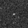 2024aeqw_image