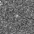 2024aeux_image
