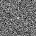 2024aevq_image