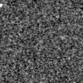 2024afmh_image