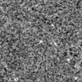 2024agak_image