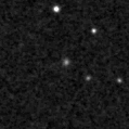 2024agbf_image