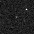 2024agcb_image