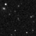 2024agdj_image