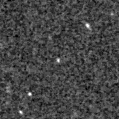 2024agdo_image