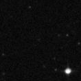 2024agel_image