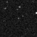2024alc_image