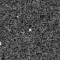 2024alg_image