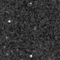 2024amn_image