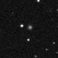 2024aop_image