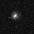 2024apm_image