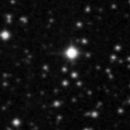 2024ark_image