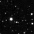 2024arx_image