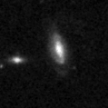 2024asl_image