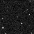 2024blb_image