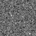 2024bpb_image