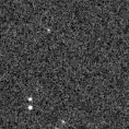 2024bqa_image