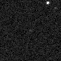 2024bsv_image