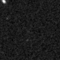 2024bwm_image